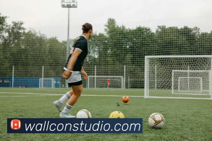 平台展示图