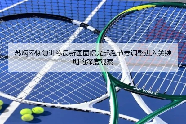 苏炳添恢复训练最新画面曝光起跑节奏调整进入关键期的深度观察